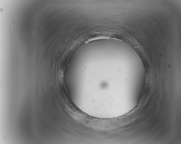 X0000085250045200703231701