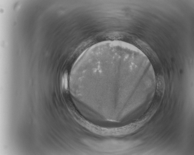 X0000085250046200703231701