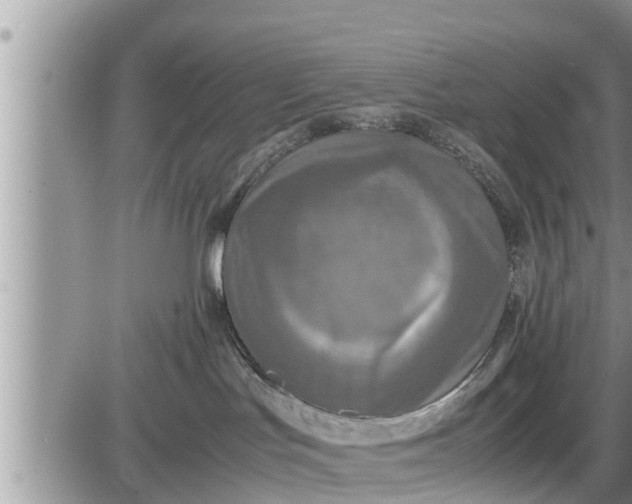 X0000085250047200703231701