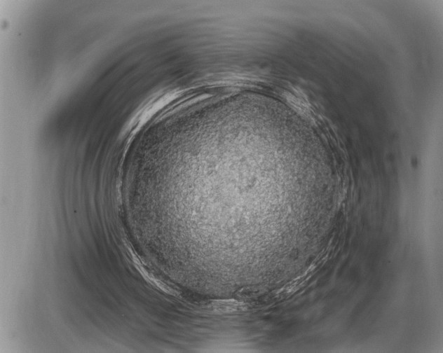 X0000085250050200703231700