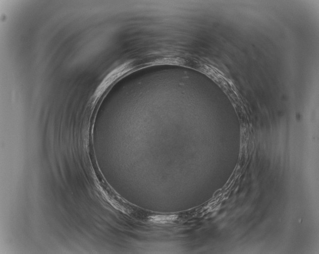 X0000085250051200703231700