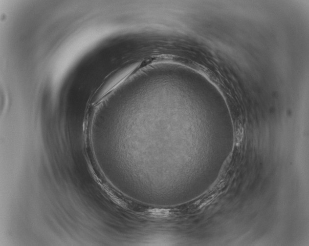 X0000085250052200703231700