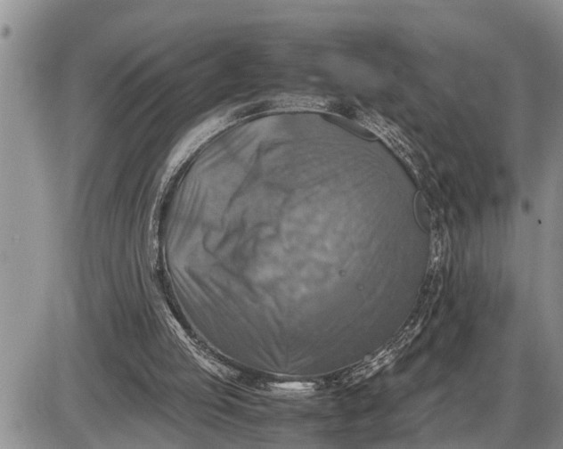 X0000085250053200703231700