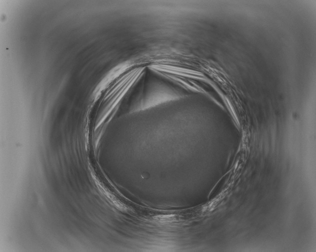 X0000085250054200703231700