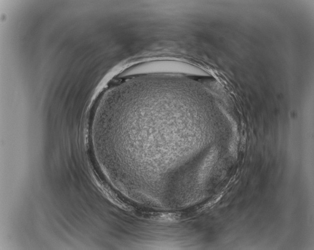 X0000085250056200703231700