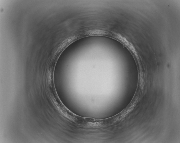 X0000085250057200703231700