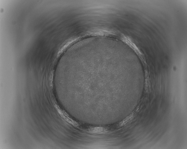 X0000085250058200703231700