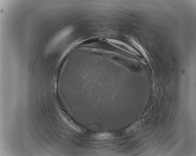 X0000085250059200703231700