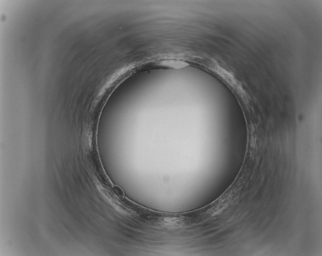 X0000085250060200703231700