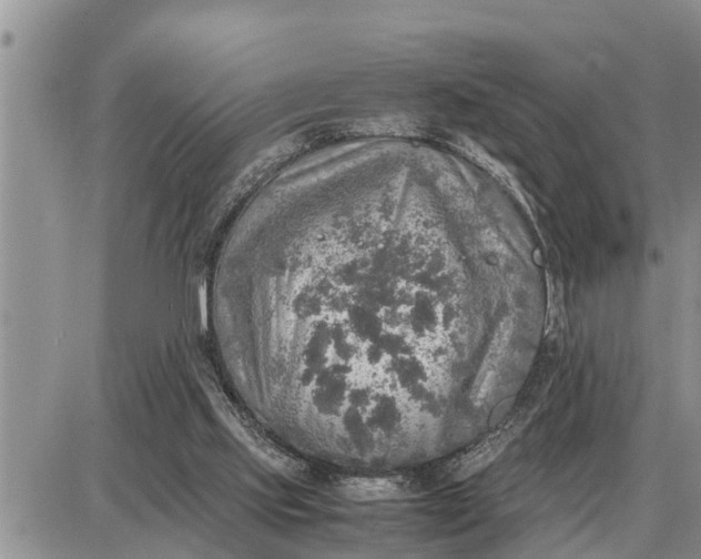 X0000085250061200703231700