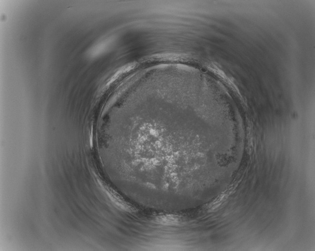 X0000085250062200703231700