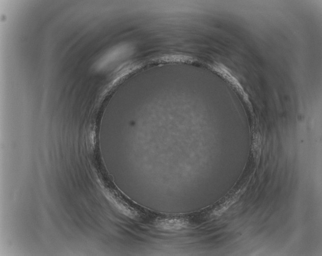 X0000085250063200703231700