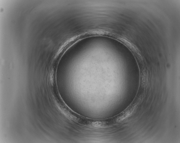 X0000085250064200703231700