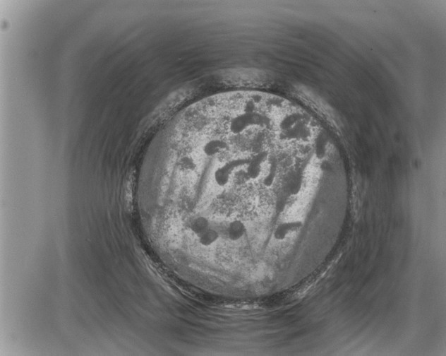 X0000085250065200703231700