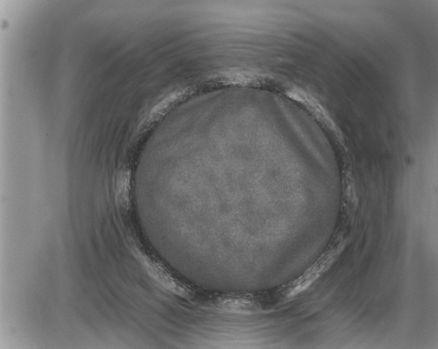 X0000085250066200703231700