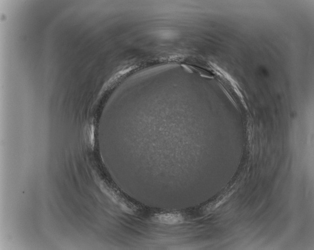 X0000085250067200703231700