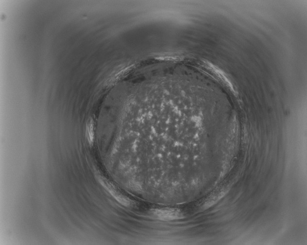 X0000085250069200703231700