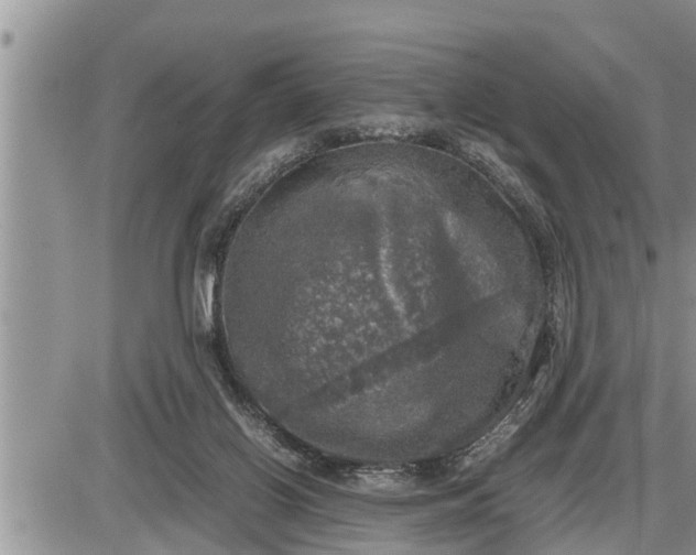 X0000085250070200703231700