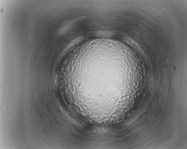 X0000085250071200703231700