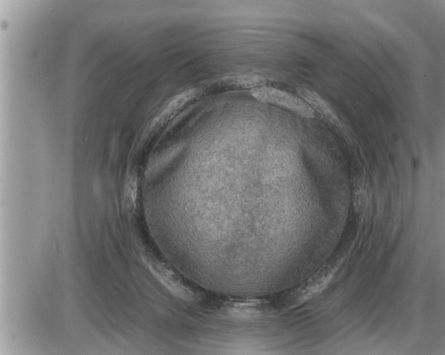 X0000085250072200703231700