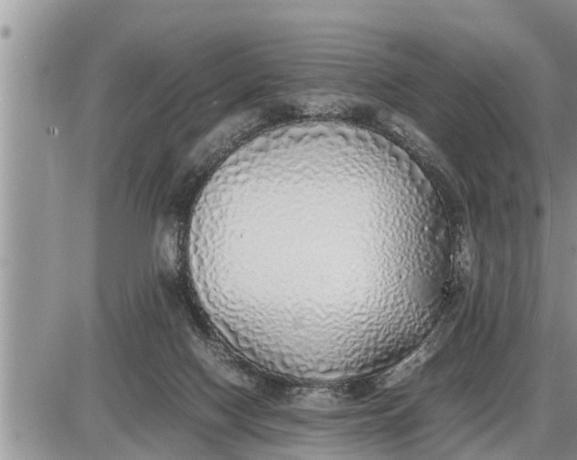 X0000085250074200703231700