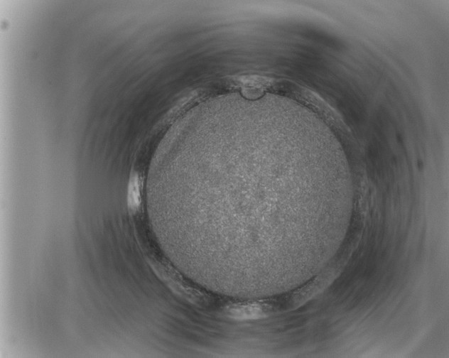 X0000085250075200703231700