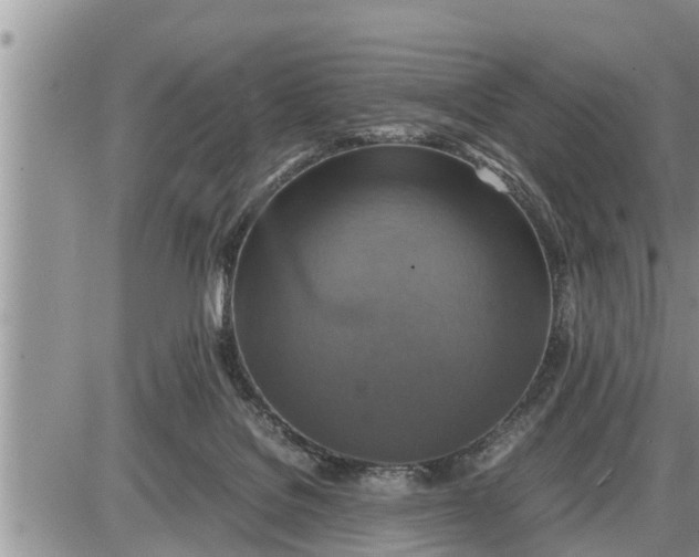 X0000085250076200703231700