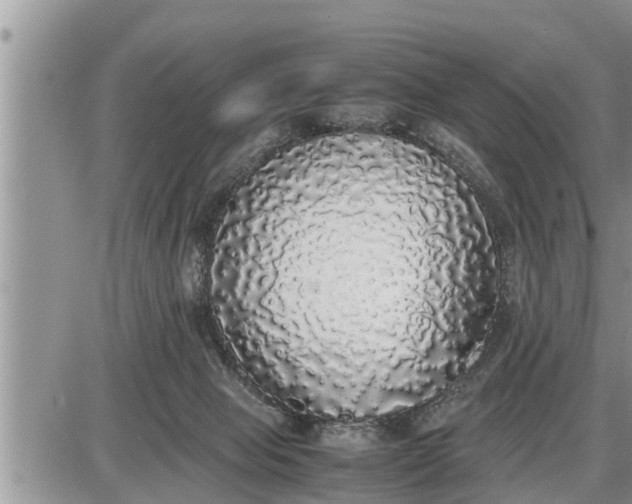 X0000085250077200703231700