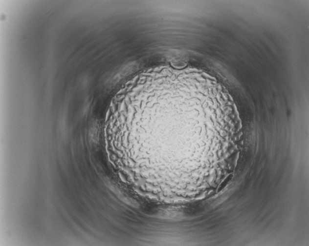 X0000085250078200703231700