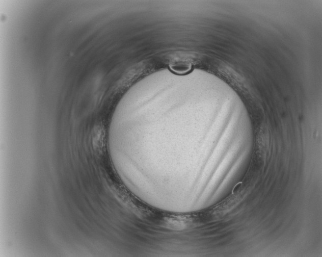 X0000085250079200703231700