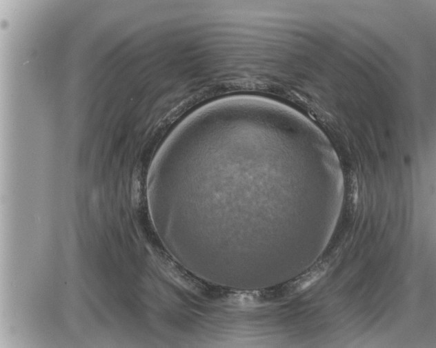 X0000085250080200703231700