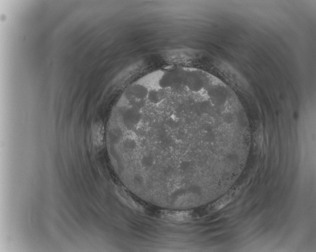 X0000085250081200703231700