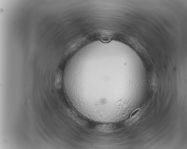 X0000085250082200703231701