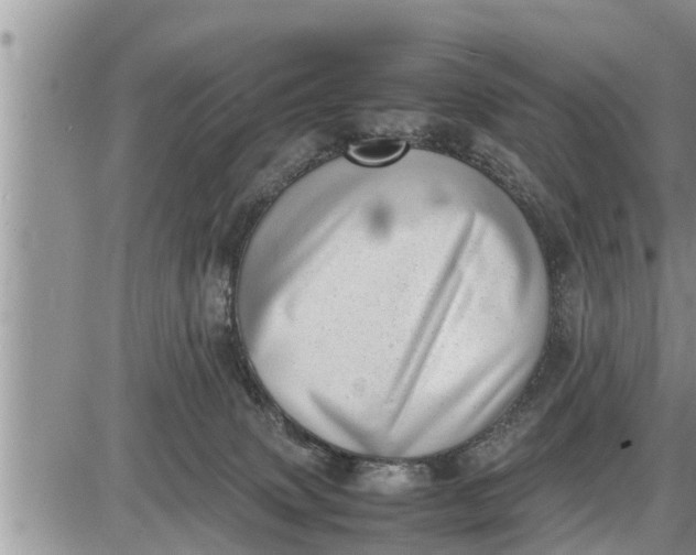 X0000085250083200703231701