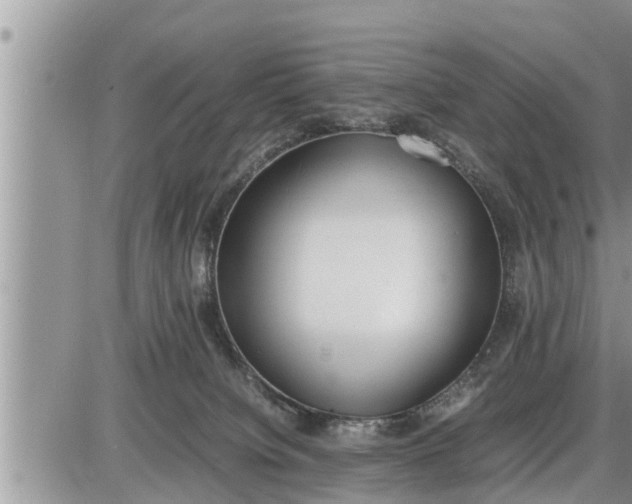 X0000085250084200703231701