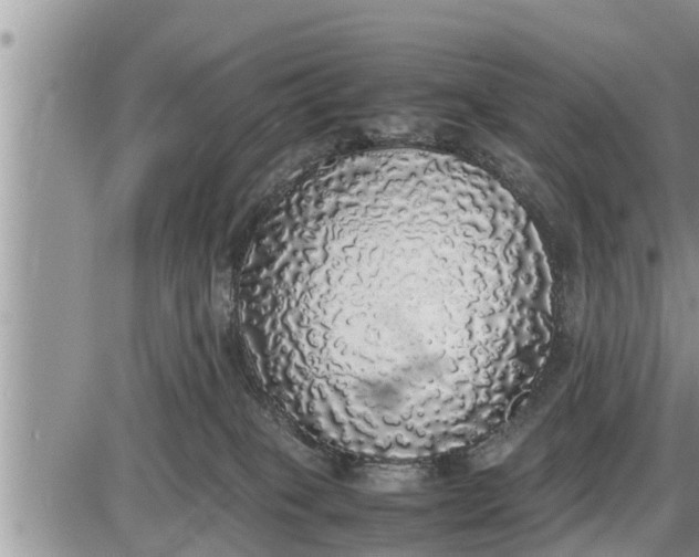 X0000085250085200703231701