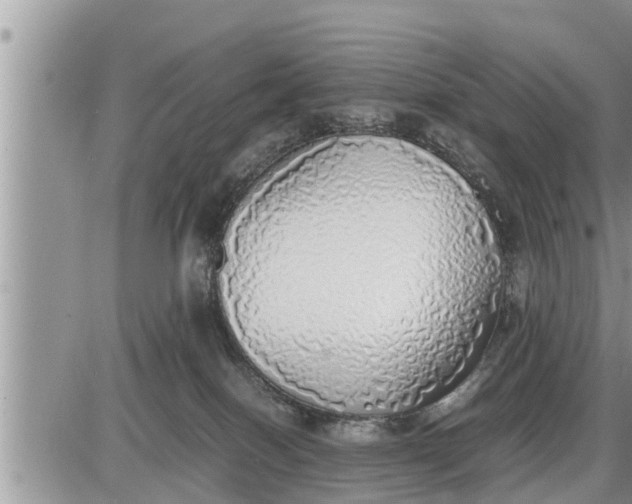 X0000085250086200703231701