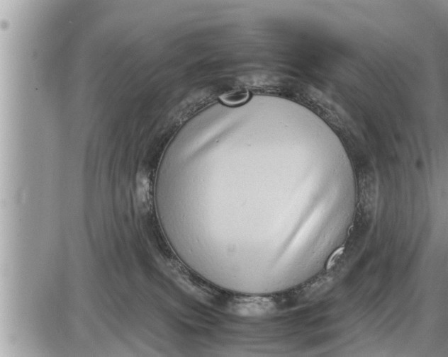 X0000085250087200703231701