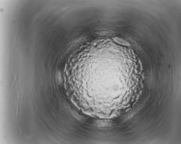 X0000085250089200703231701