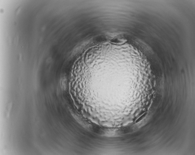 X0000085250090200703231701