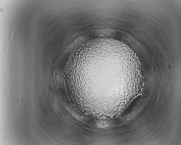 X0000085250091200703231701