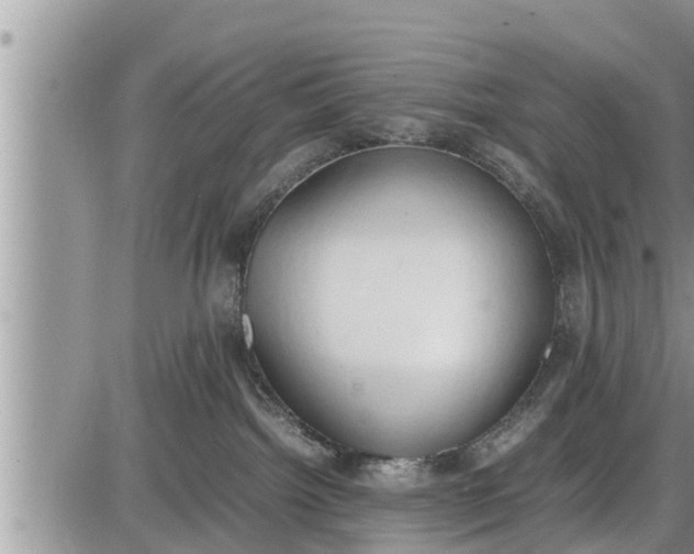 X0000085250092200703231701