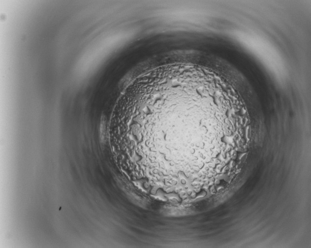 X0000085250093200703231701