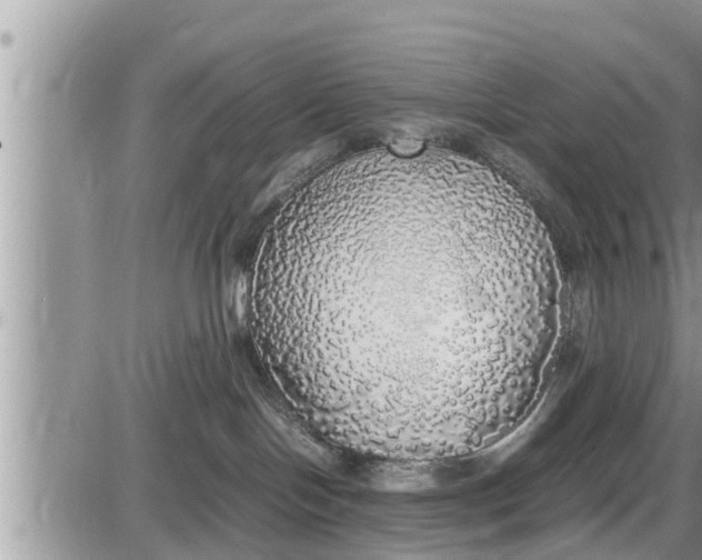 X0000085250094200703231701