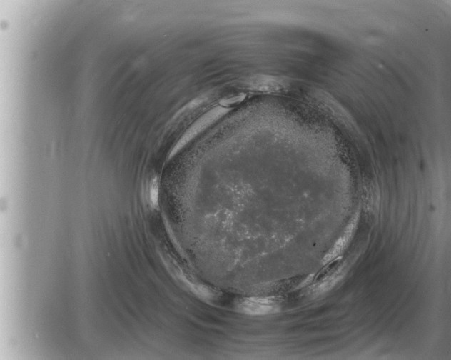 X0000085250095200703231701