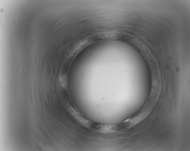 X0000085250096200703231701