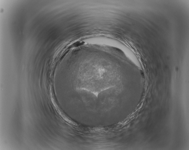 X0000085250097200703231700