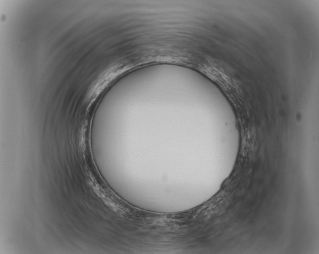 X0000085250098200703231700