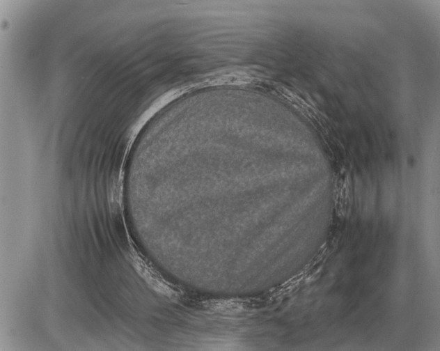 X0000085250100200703231700