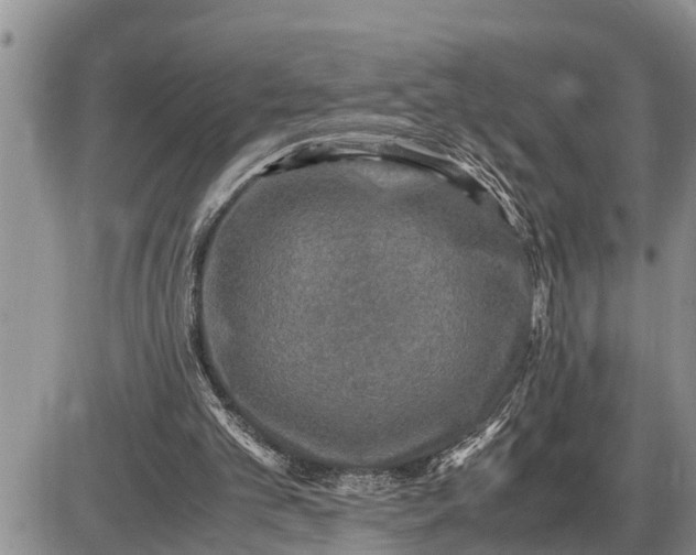 X0000085250101200703231700